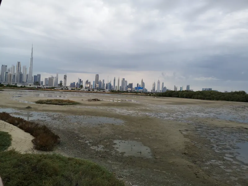 Meydan Horizon